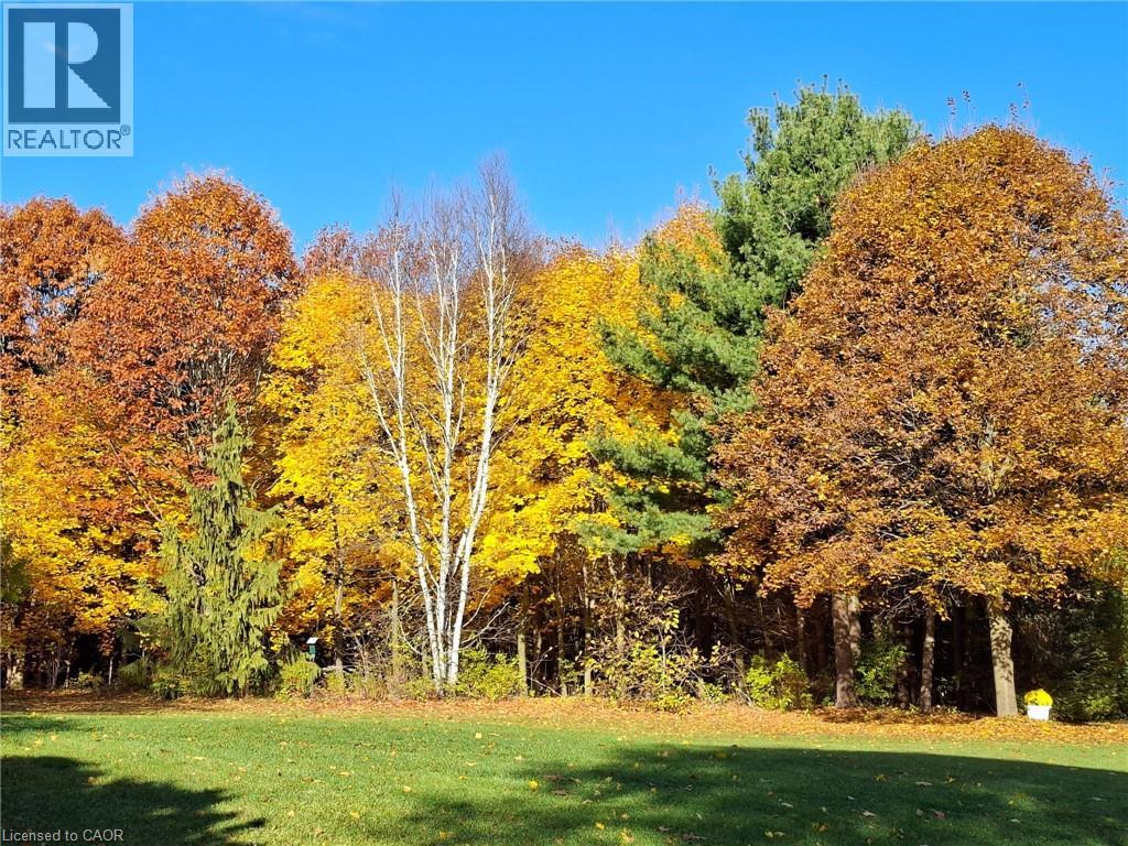 1966 Concession 2 Road W, Lynden, Ontario  L0R 1T0 - Photo 5 - 40768455