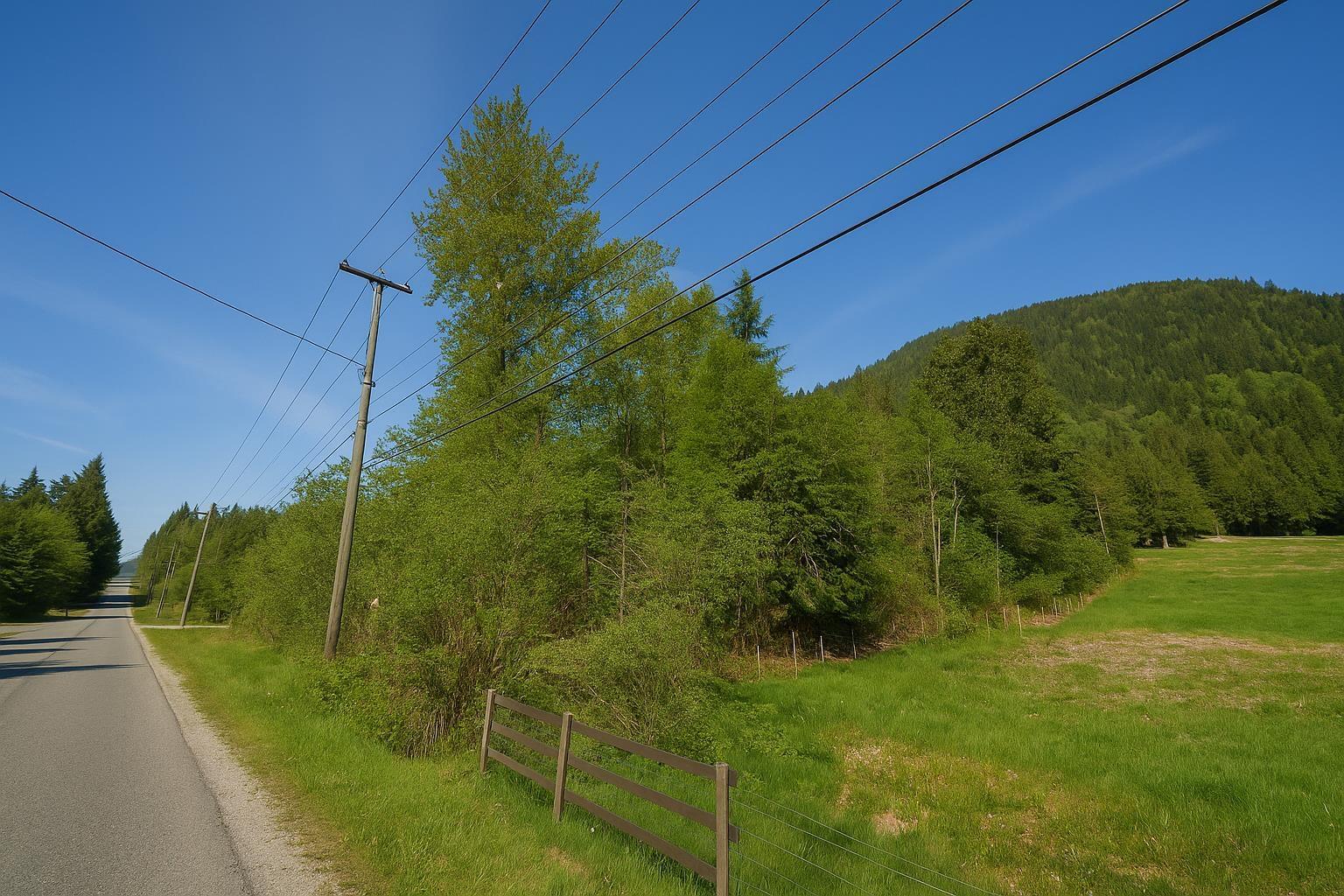 12999 Stave Lake Road, Mission, British Columbia  V2V 0A7 - Photo 4 - R3034886