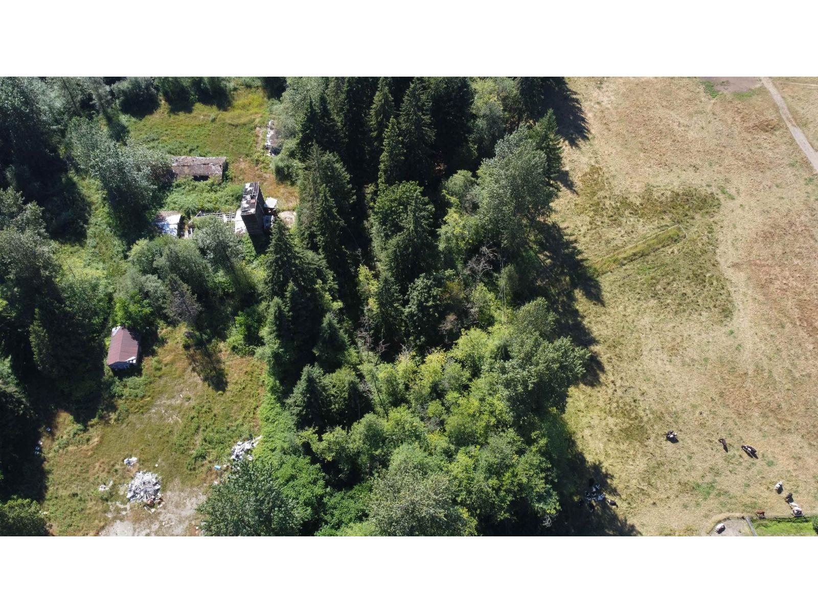 12999 Stave Lake Road, Mission, British Columbia  V2V 0A7 - Photo 6 - R3034886