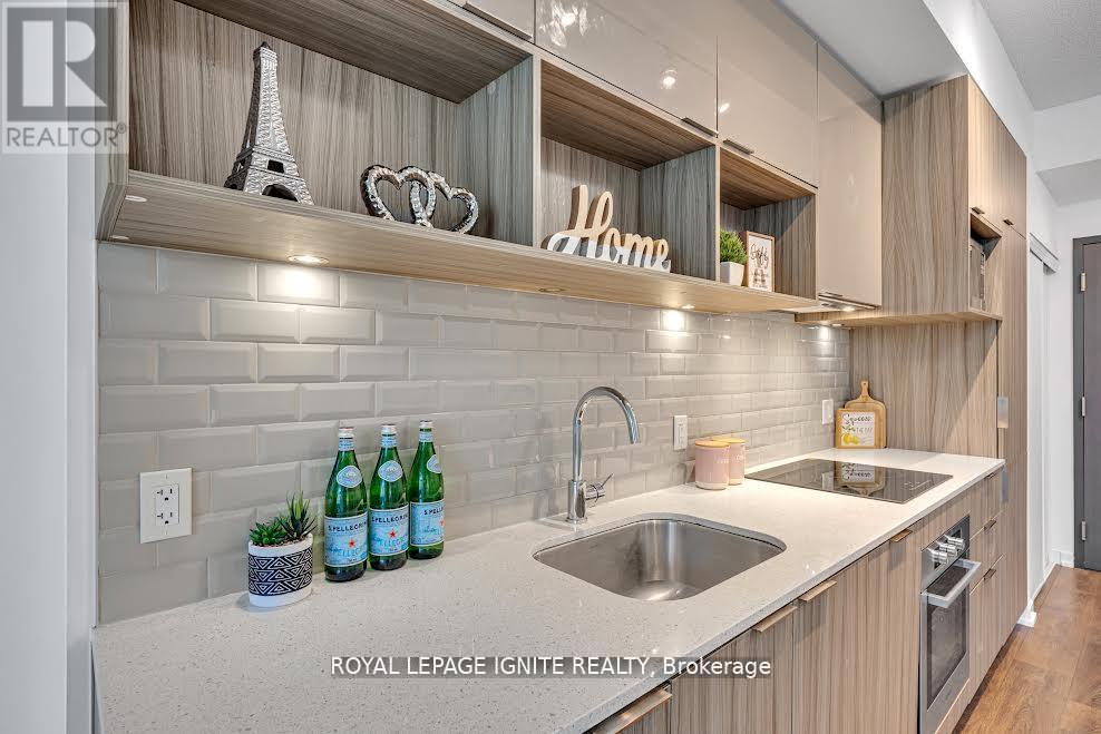 207 - 52 Forest Manor Road, Toronto, Ontario  M2J 0E2 - Photo 11 - C12537492