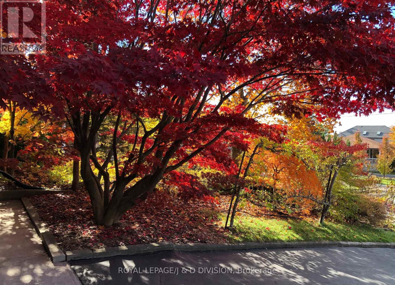 27 Paramount Court, Toronto, Ontario  M6M 2L3 - Photo 49 - W12532718