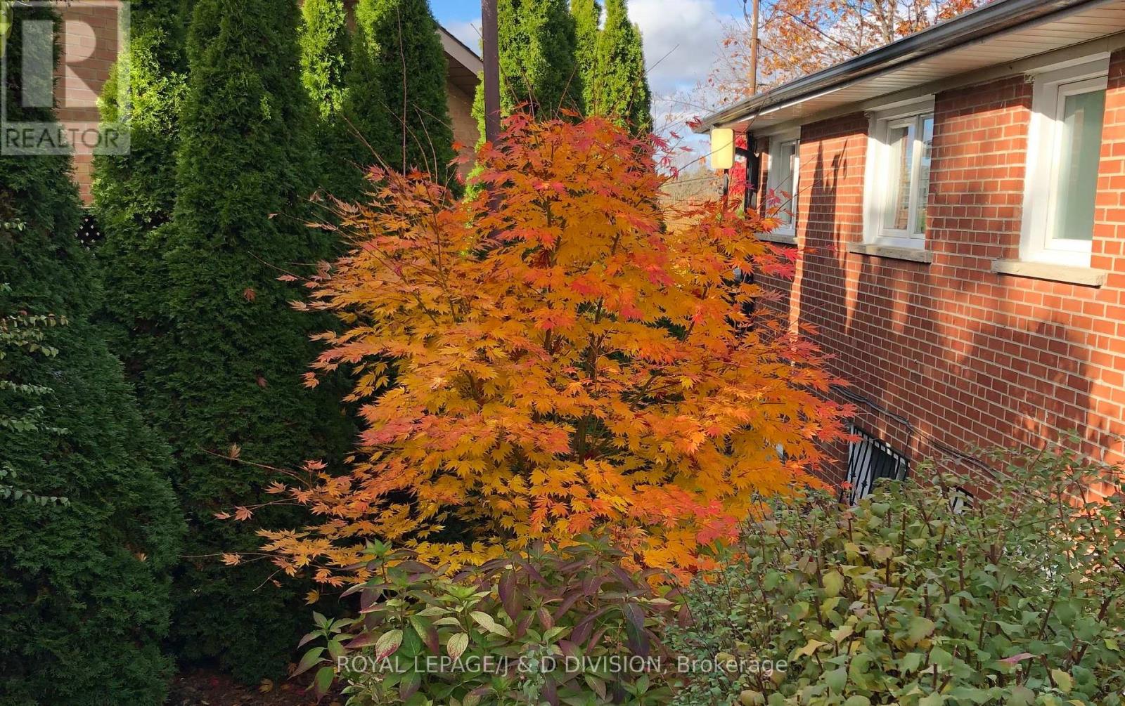 27 Paramount Court, Toronto, Ontario  M6M 2L3 - Photo 47 - W12532718