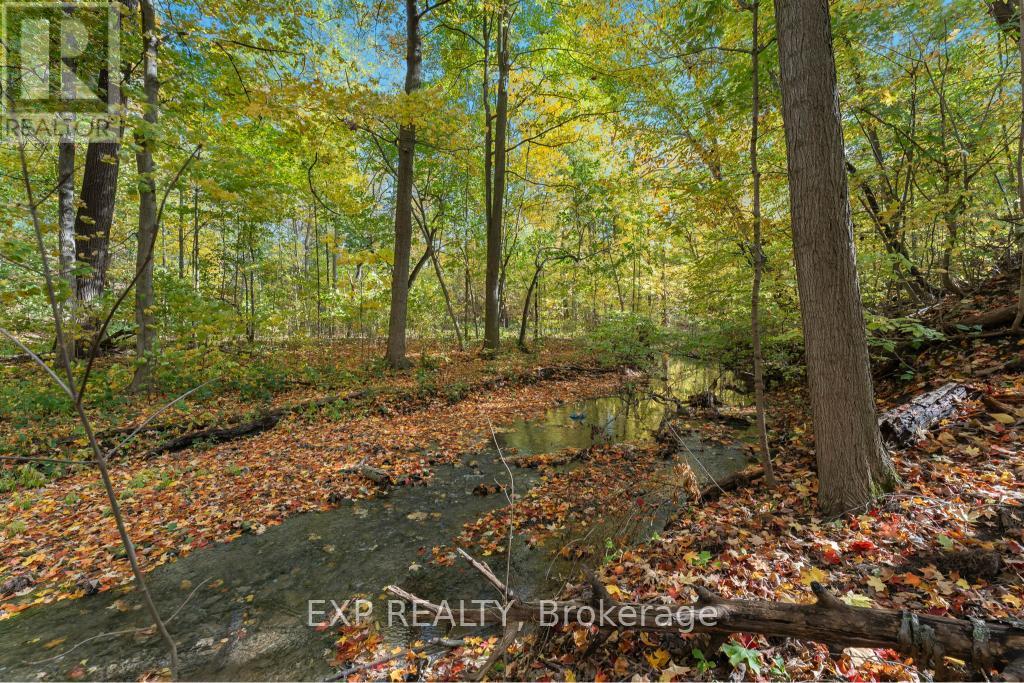 3169 King Street, Lincoln, Ontario  L0R 2C0 - Photo 10 - X12537710