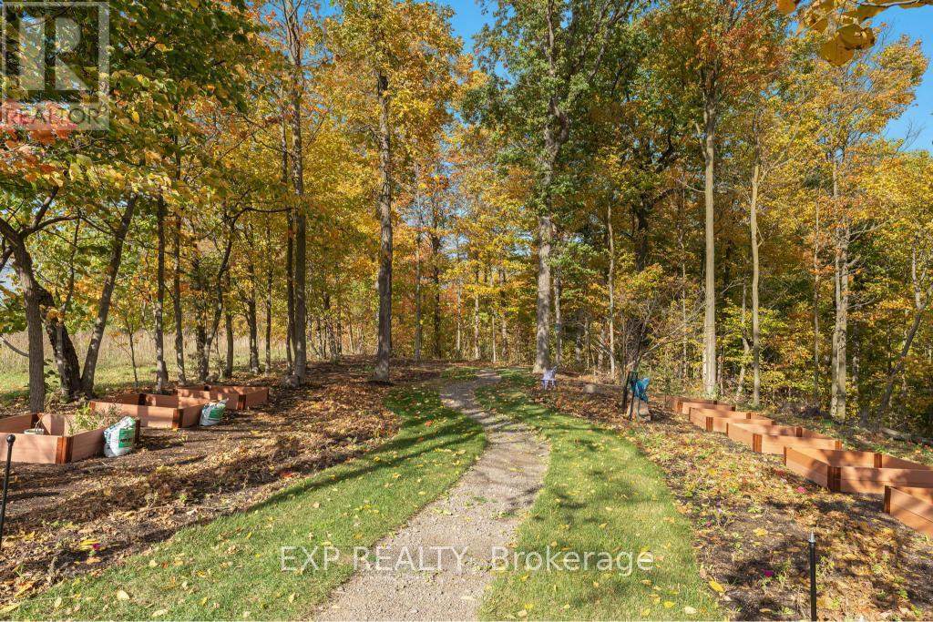 3169 King Street, Lincoln, Ontario  L0R 2C0 - Photo 48 - X12537710