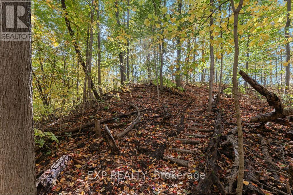 3169 King Street, Lincoln, Ontario  L0R 2C0 - Photo 49 - X12537710