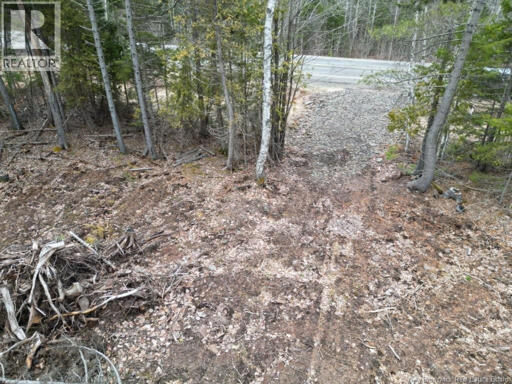 Lot 2022-2 Rte Hwy 105, Mill Cove, New Brunswick  E4C 3B2 - Photo 6 - NB130051
