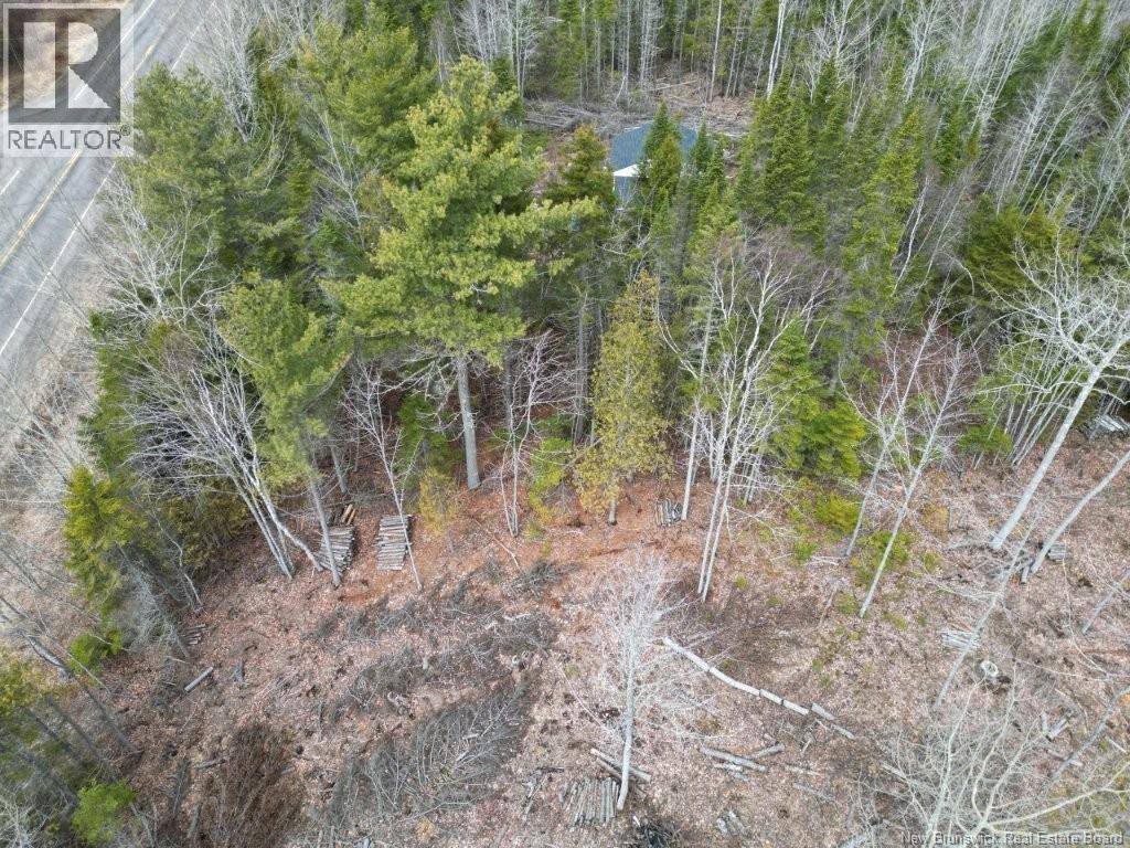 Lot 2022-2 Rte Hwy 105, Mill Cove, New Brunswick  E4C 3B2 - Photo 7 - NB130051
