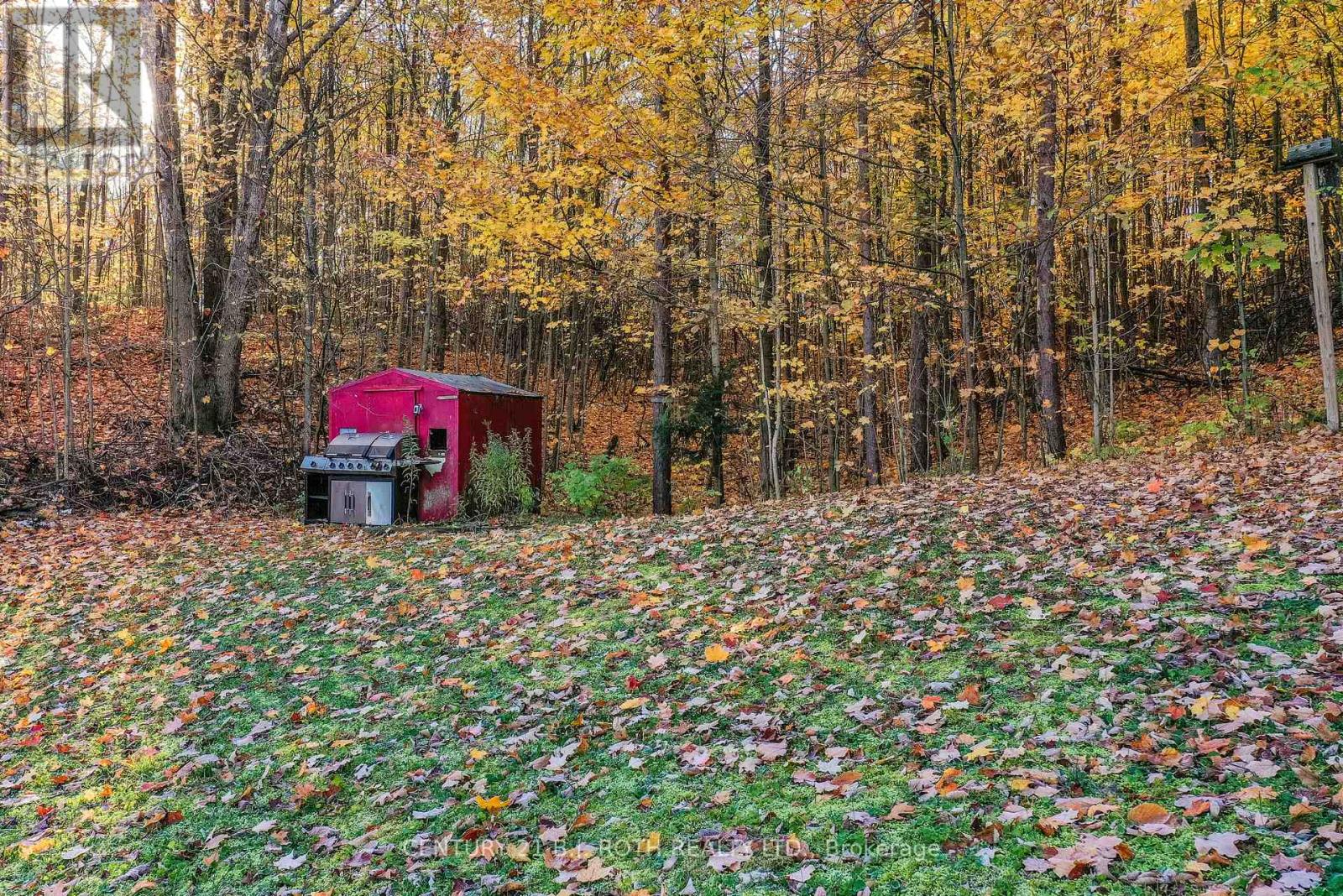 4927 25 Side Road, Essa, Ontario  L4M 4S4 - Photo 30 - N12537812