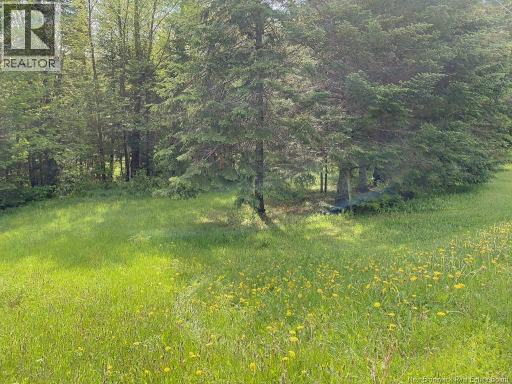 149 Beaulieu Road Unit# A-B, Saint-François-De-Madawaska, New Brunswick  E7A 1A2 - Photo 9 - NB130032