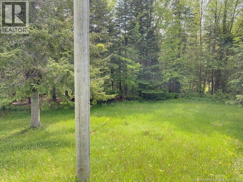 149 Beaulieu Road Unit# A-B, Saint-François-De-Madawaska, New Brunswick  E7A 1A2 - Photo 10 - NB130032