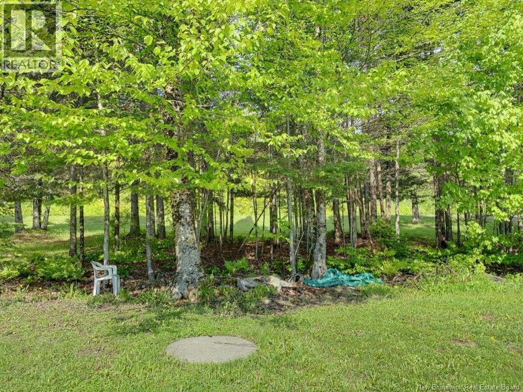 149 Beaulieu Road Unit# A-B, Saint-François-De-Madawaska, New Brunswick  E7A 1A2 - Photo 8 - NB130032