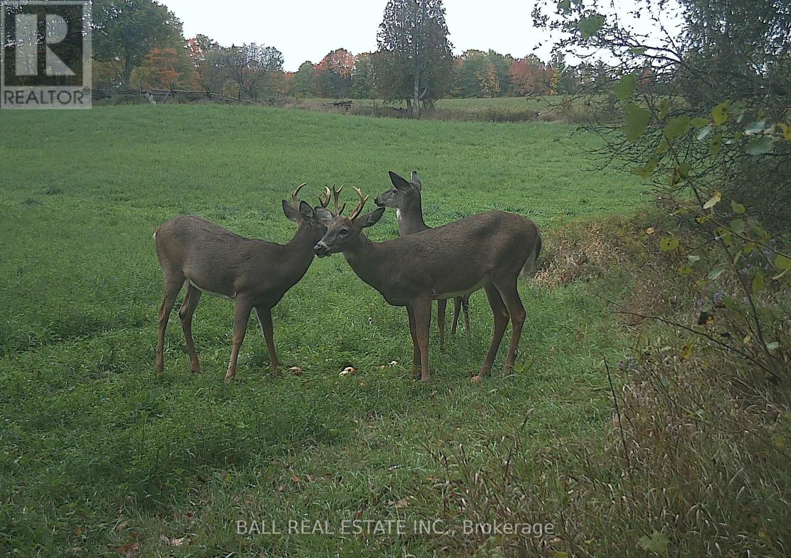 496 4th Line S, Douro-Dummer, Ontario K0L 3A0 - Photo 47 - X12538050