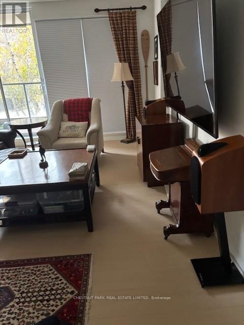 201 - 11 Soho Street, Toronto, Ontario  M5T 3L7 - Photo 12 - C12215203