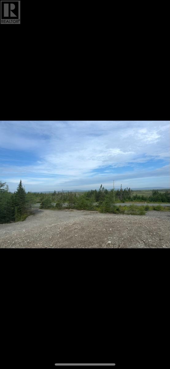 Route 91 Nine Mile Road, Colinet, Newfoundland & Labrador  A0B 1M0 - Photo 1 - 1292484