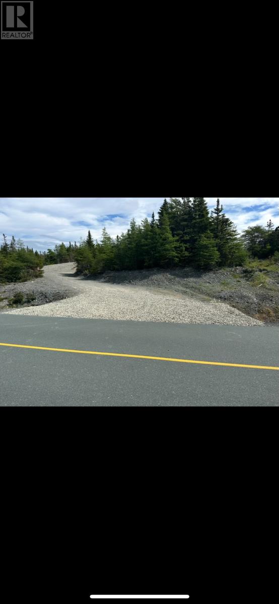 Route 91 Nine Mile Road, Colinet, Newfoundland & Labrador  A0B 1M0 - Photo 3 - 1292484