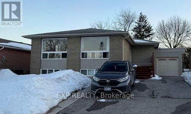 BASEMENT - 17 GABLE DRIVE, Brampton, Ontario