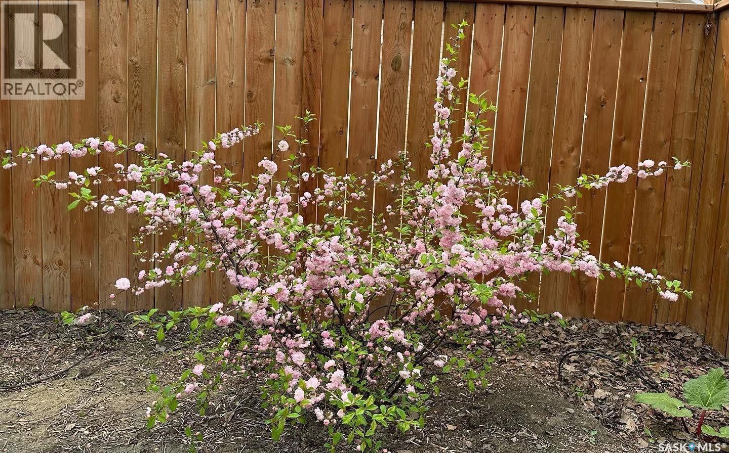 10 O' Neill Street, Regina, Saskatchewan  S4T 7K1 - Photo 50 - SK023877