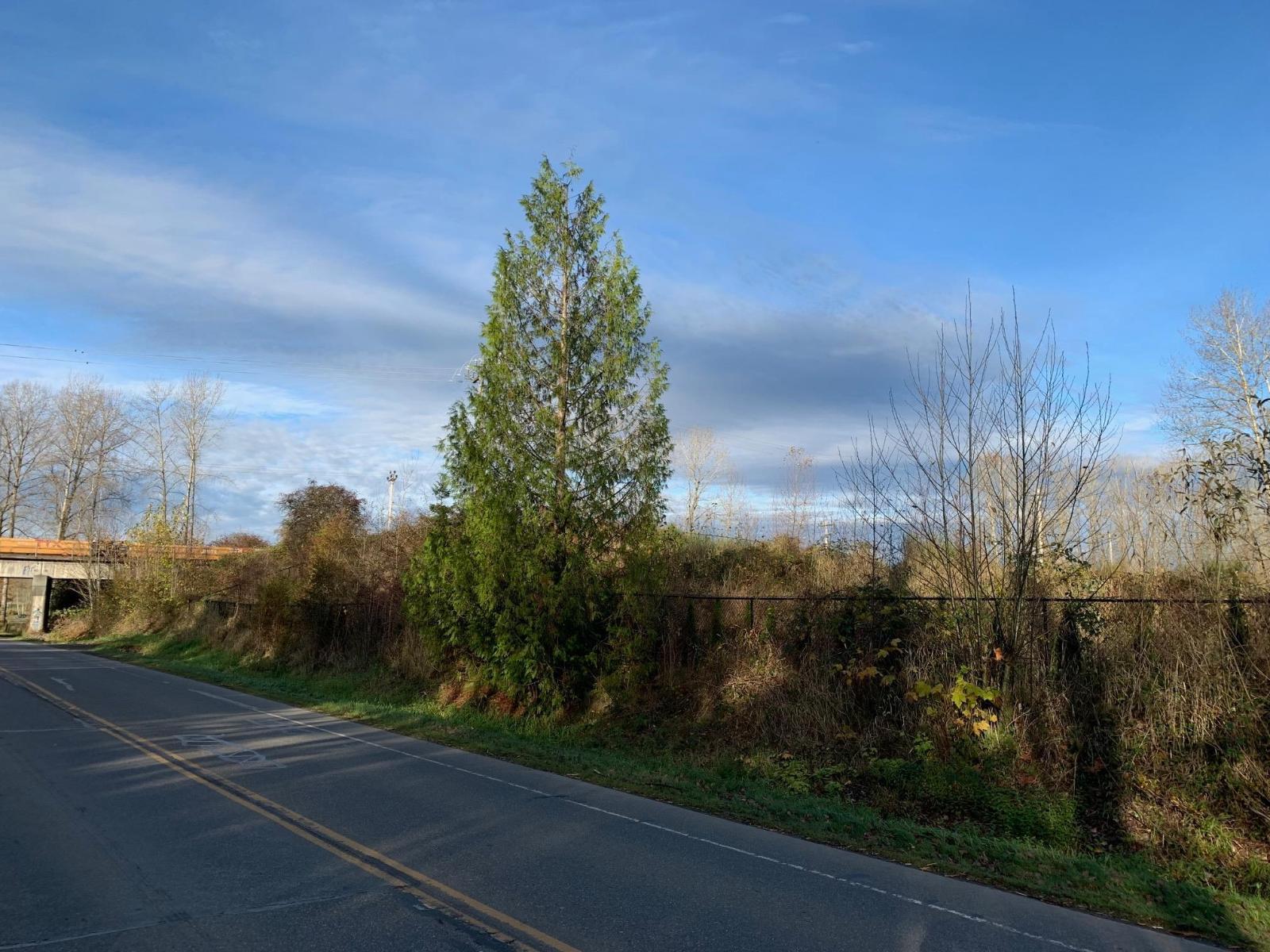 Lt.1 Rawlison Crescent, Langley, British Columbia  V1M 3R7 - Photo 11 - R3060162