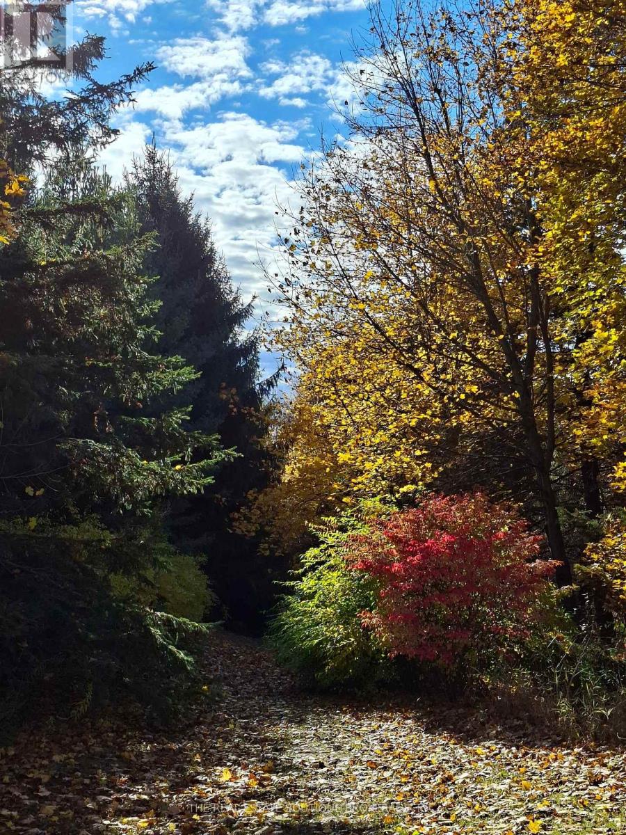 1966 Concession 2 W, Hamilton, Ontario  L0R 1T0 - Photo 39 - X12444290