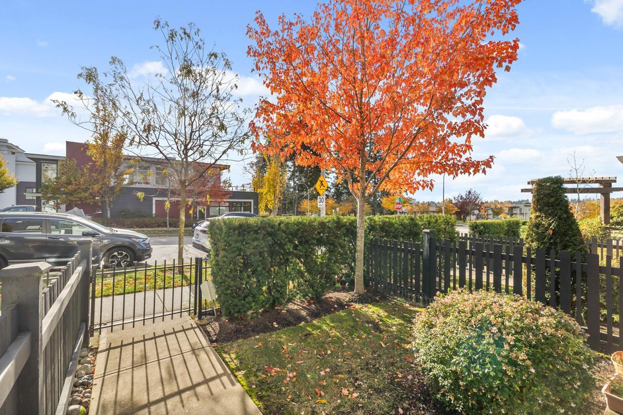 57 16336 23a Avenue, Surrey, British Columbia V3Z 0S5 - Photo 3 - R3066175