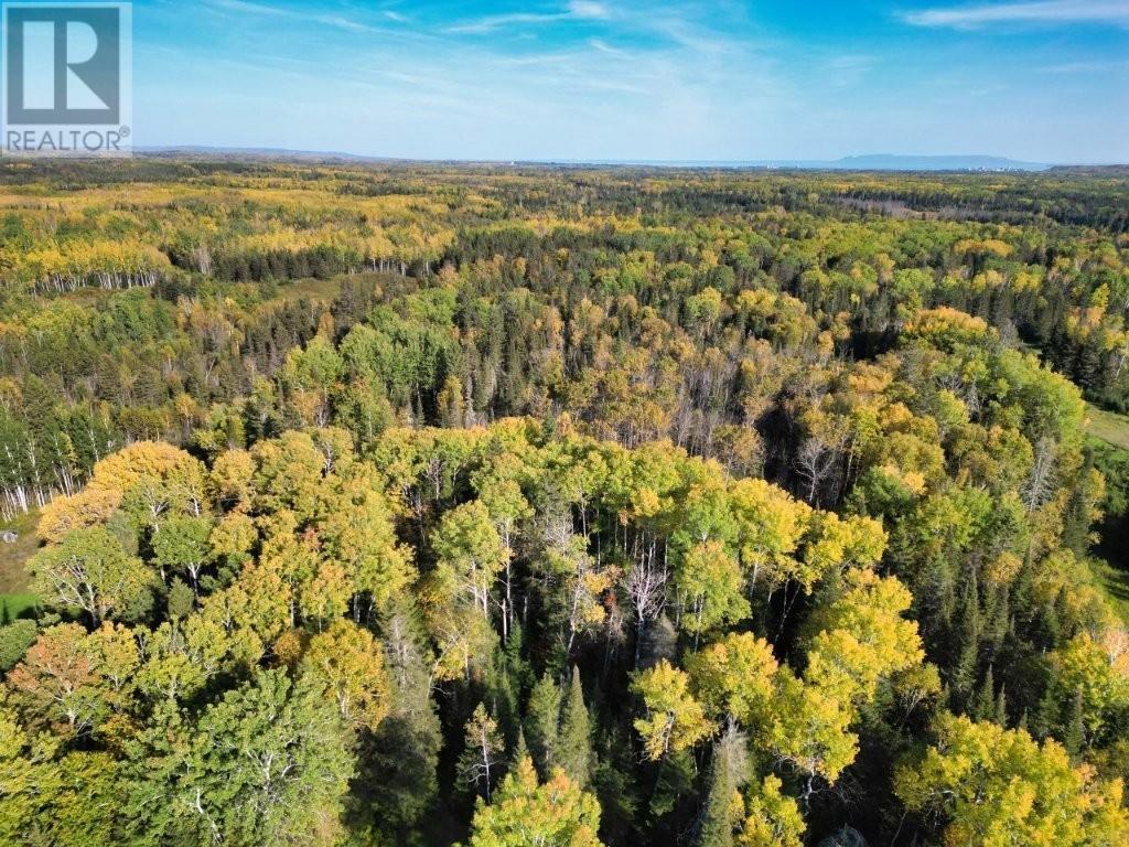 6018 Mapleward Road, Thunder Bay, Ontario  P7G 1L7 - Photo 50 - TB253391