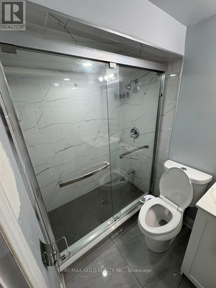 Basement - 98 Centre Street N, Brampton, Ontario  L6V 2Z3 - Photo 10 - W12537886