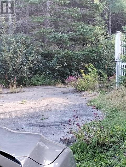 5 Tolt Road, Marystown, Newfoundland & Labrador  A0E 2M0 - Photo 17 - 1290957