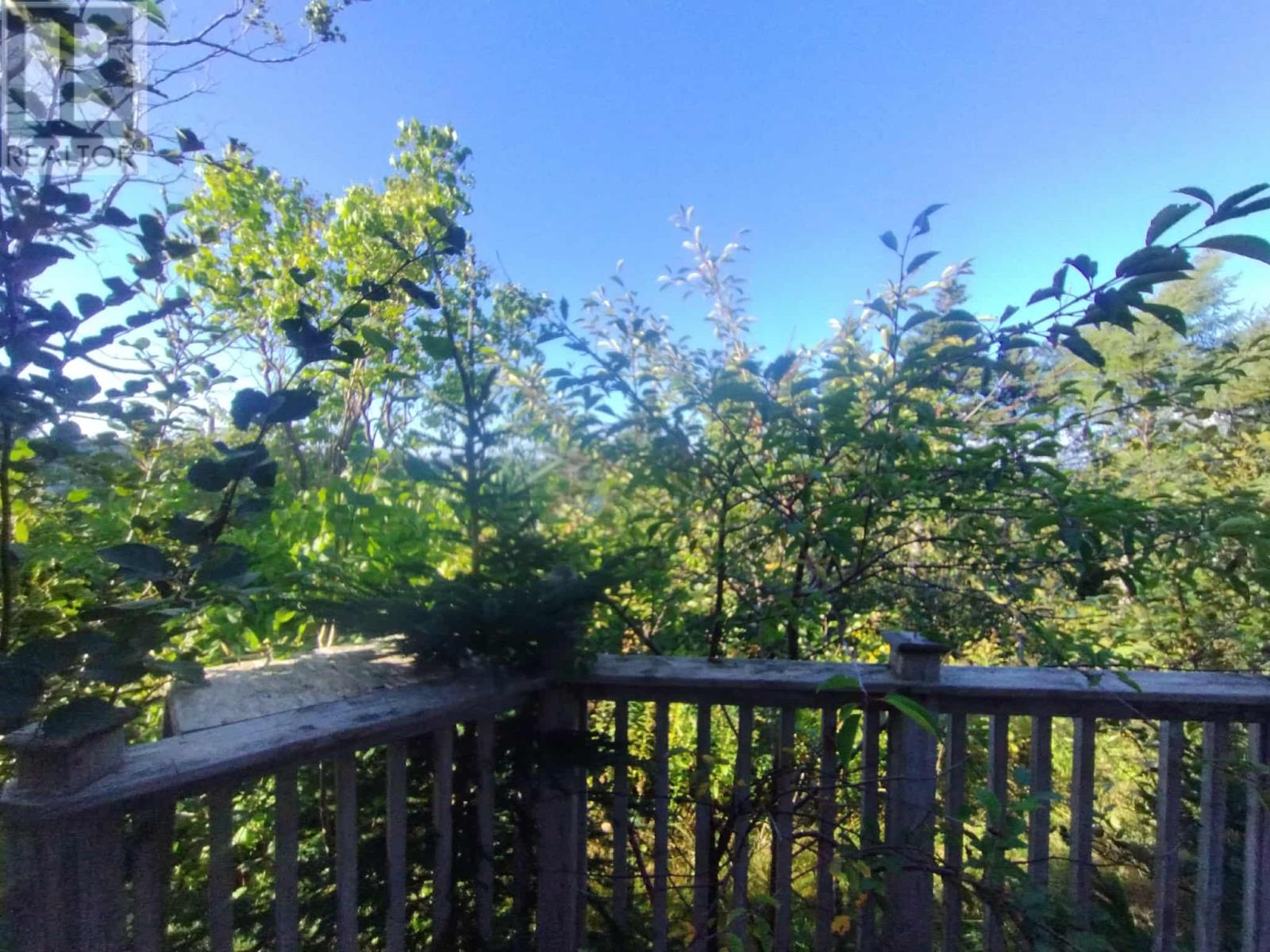 5 Tolt Road, Marystown, Newfoundland & Labrador  A0E 2M0 - Photo 15 - 1290957