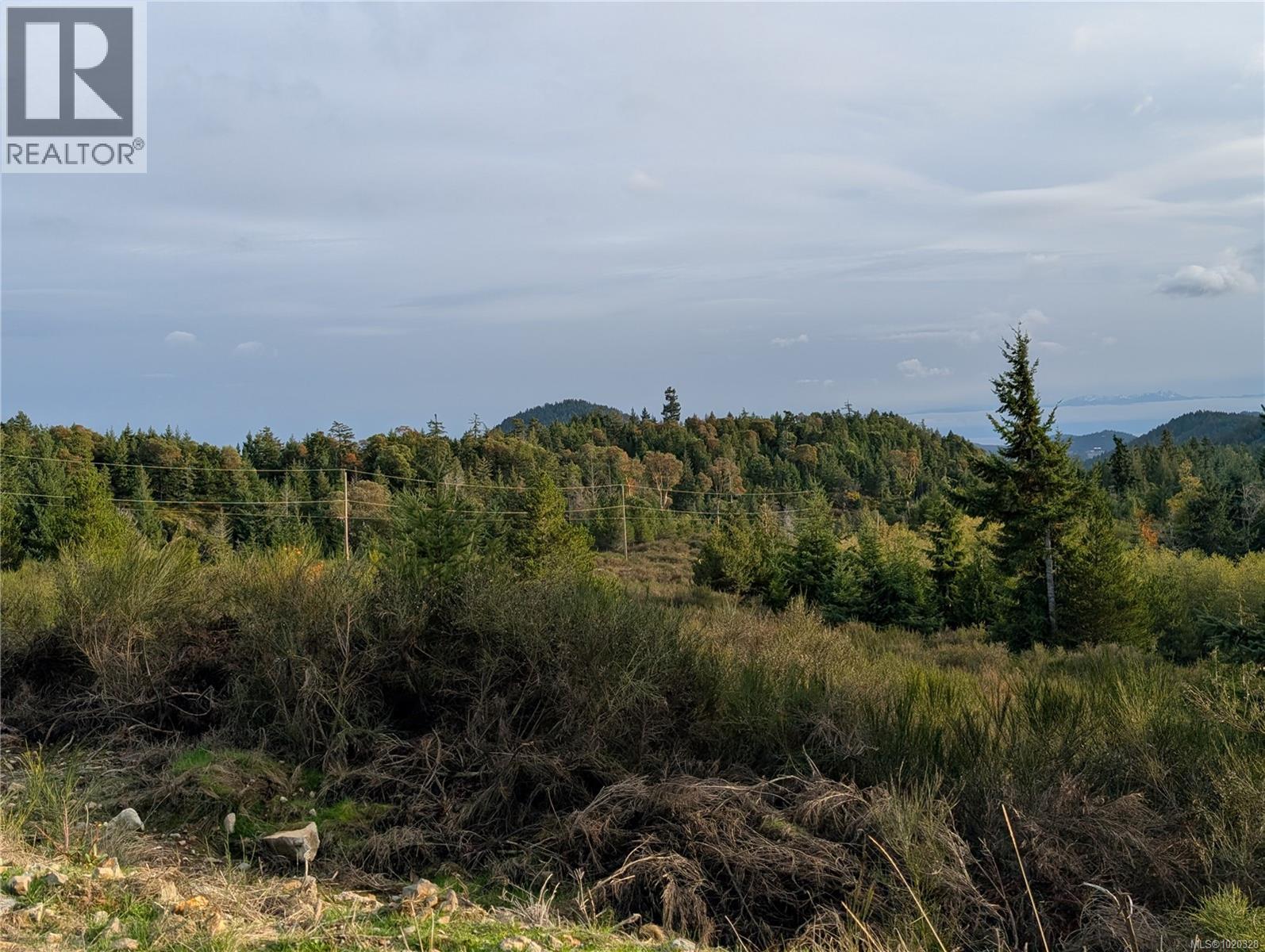 Lot 24 Eagle Dr, Shawnigan Lake, British Columbia  V8H 2J1 - Photo 11 - 1020328