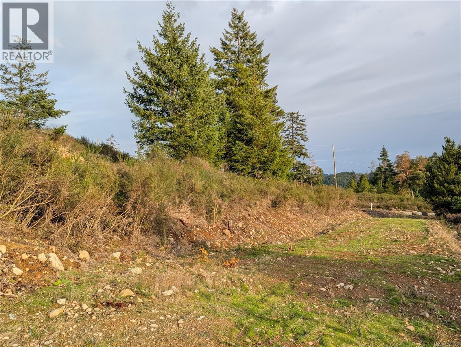 Lot 24 Eagle Dr, Shawnigan Lake, British Columbia  V8H 2J1 - Photo 12 - 1020328