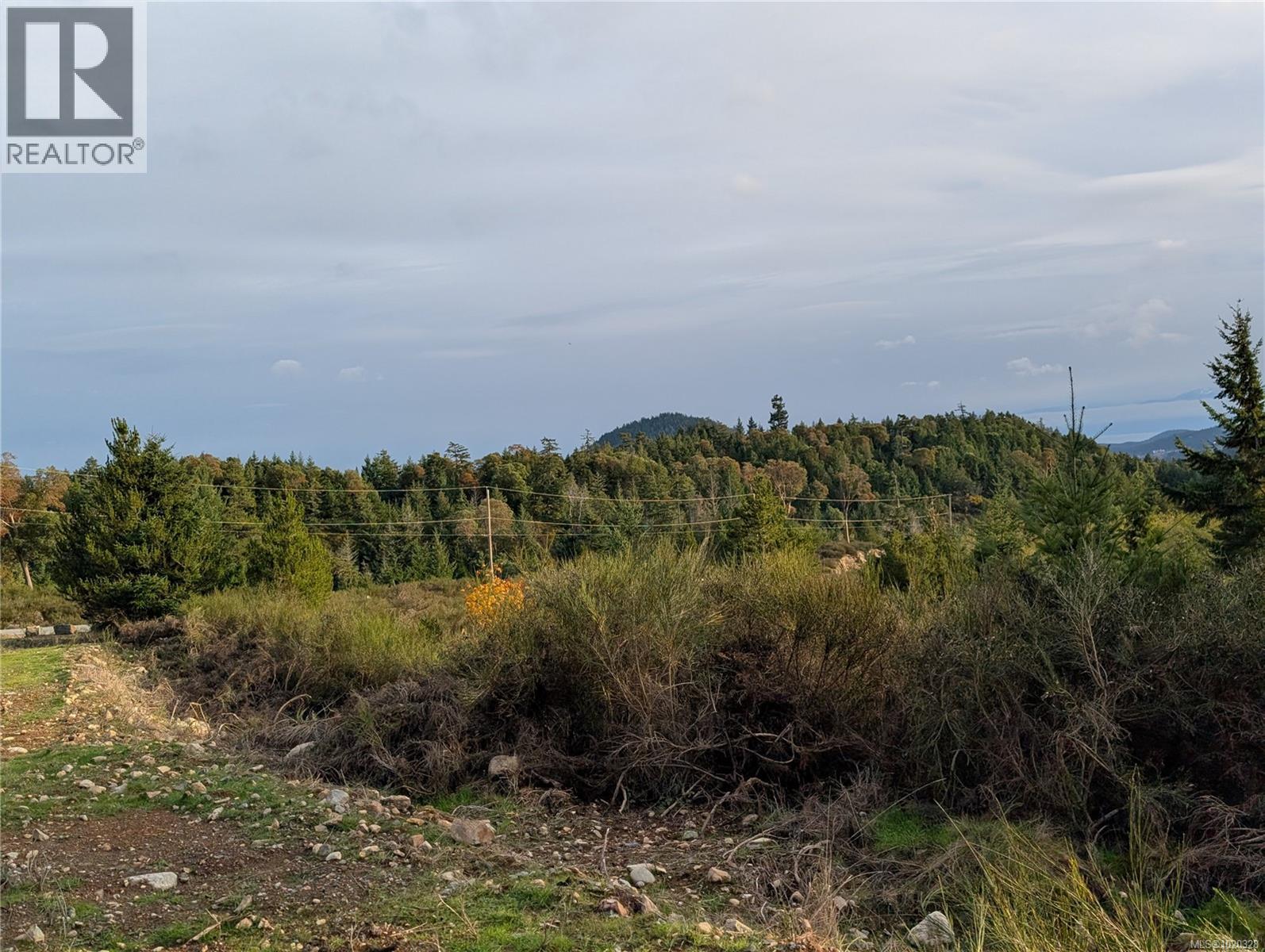 Lot 24 Eagle Dr, Shawnigan Lake, British Columbia  V8H 2J1 - Photo 13 - 1020328