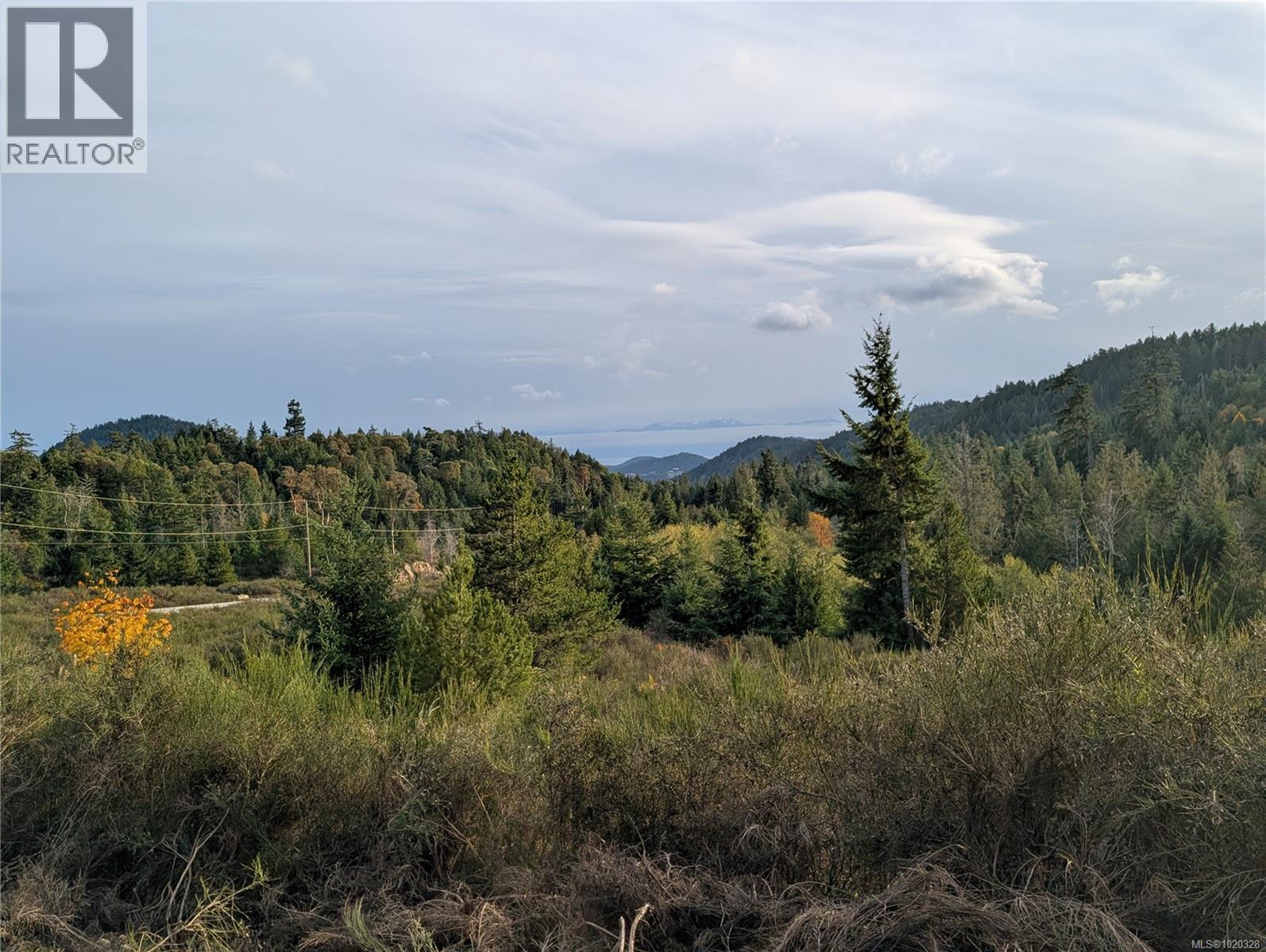 Lot 24 Eagle Dr, Shawnigan Lake, British Columbia  V8H 2J1 - Photo 14 - 1020328