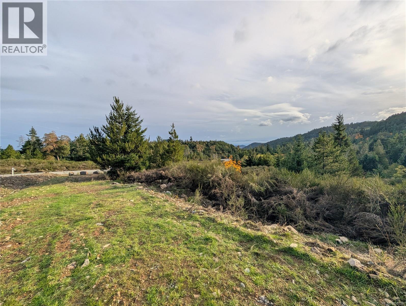 Lot 24 Eagle Dr, Shawnigan Lake, British Columbia  V8H 2J1 - Photo 16 - 1020328