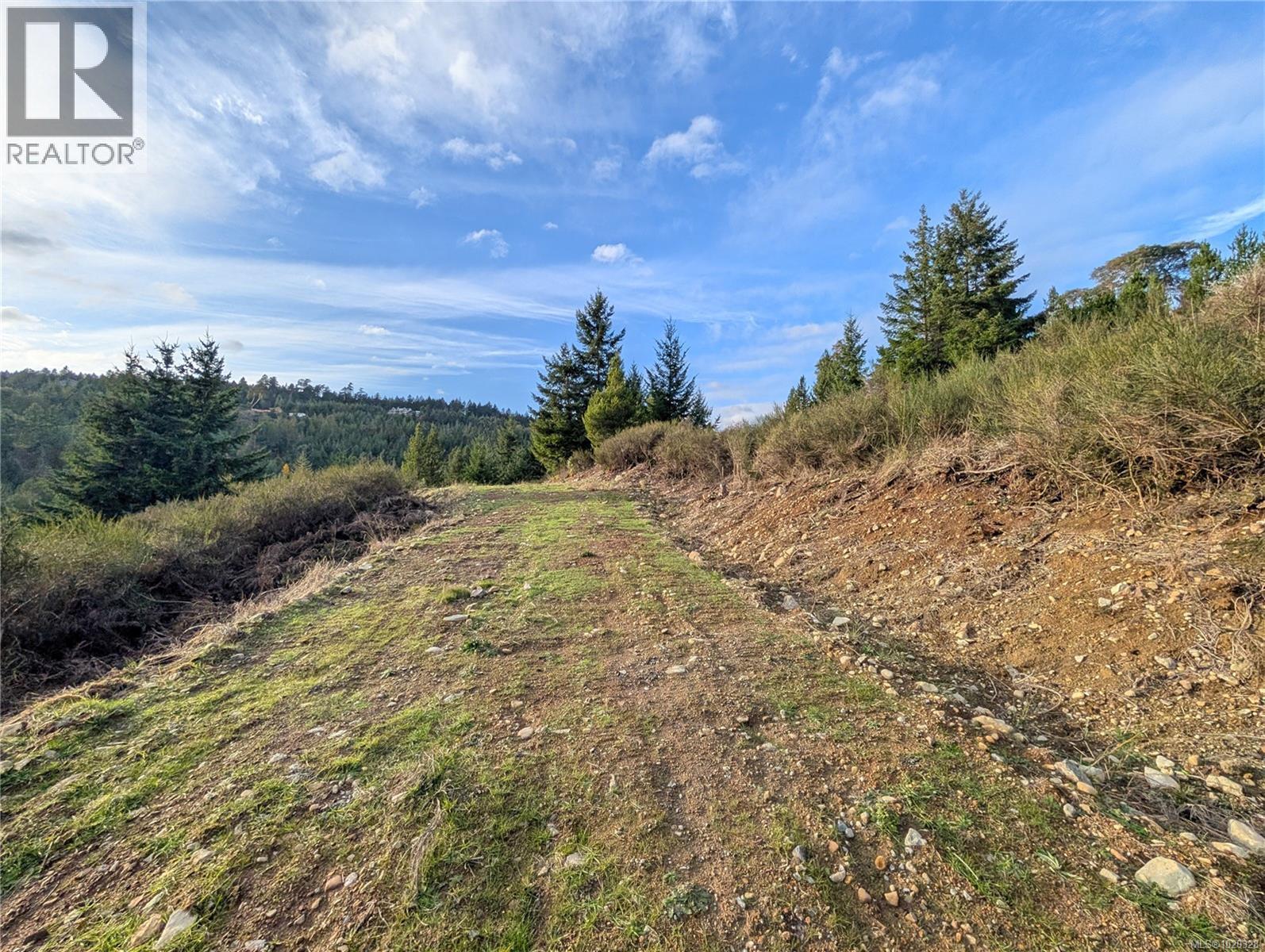 Lot 24 Eagle Dr, Shawnigan Lake, British Columbia  V8H 2J1 - Photo 19 - 1020328