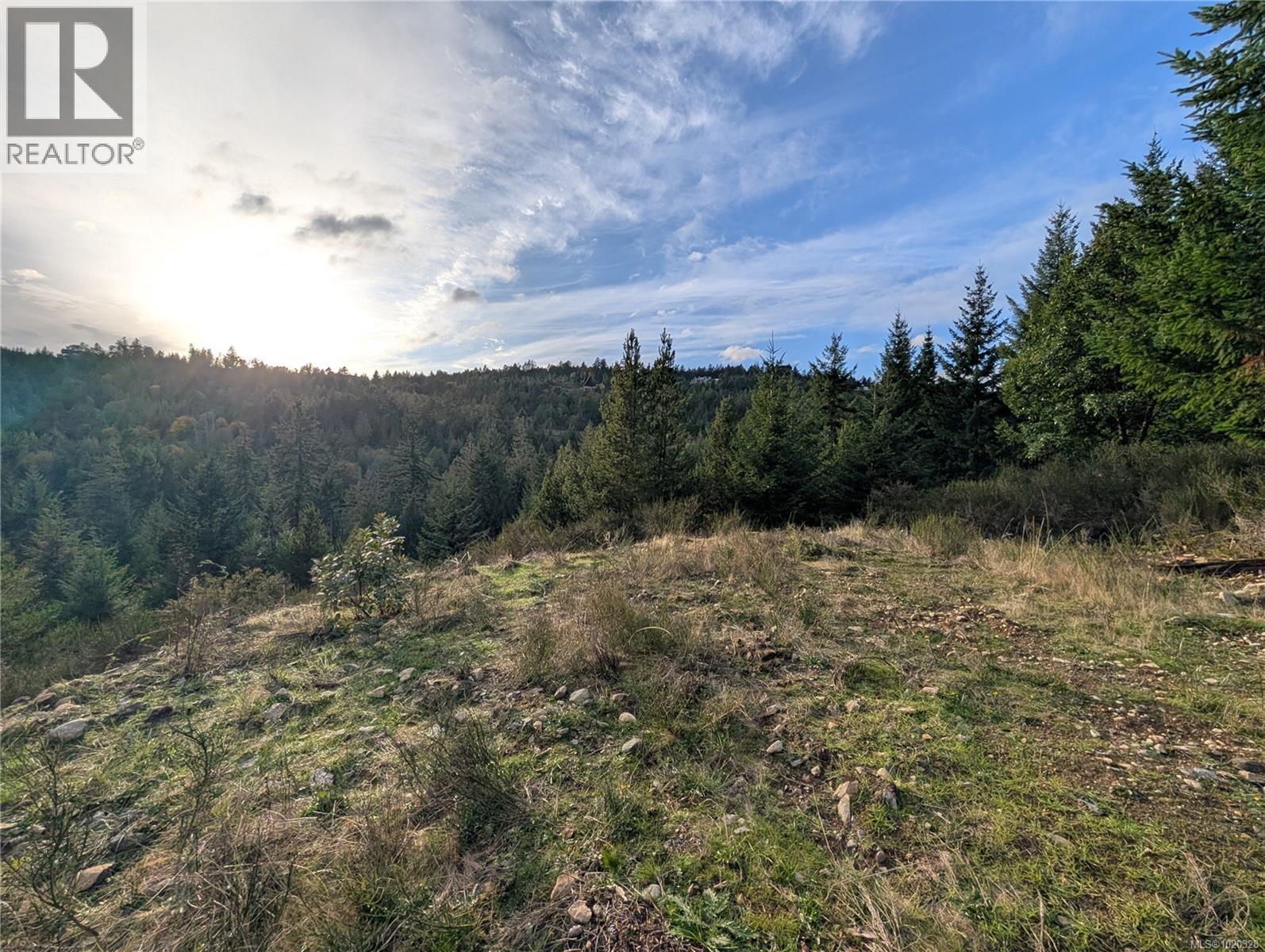 Lot 24 Eagle Dr, Shawnigan Lake, British Columbia  V8H 2J1 - Photo 5 - 1020328