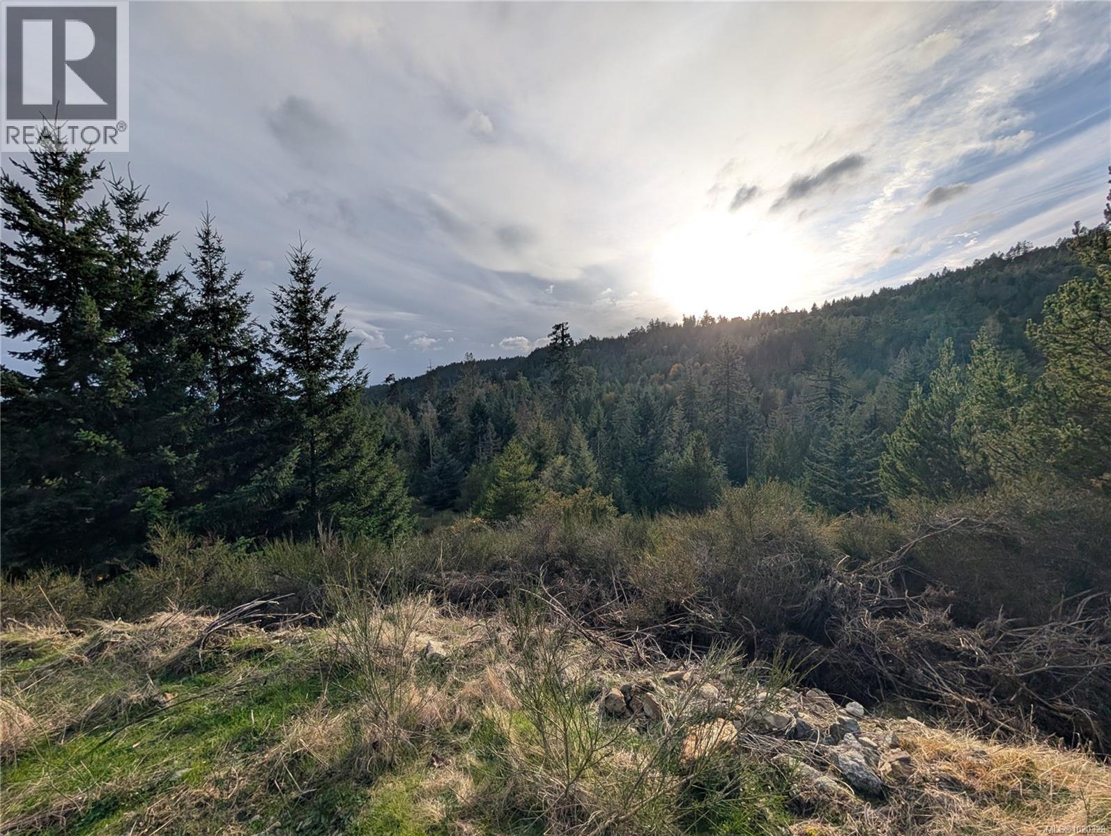 Lot 24 Eagle Dr, Shawnigan Lake, British Columbia  V8H 2J1 - Photo 6 - 1020328