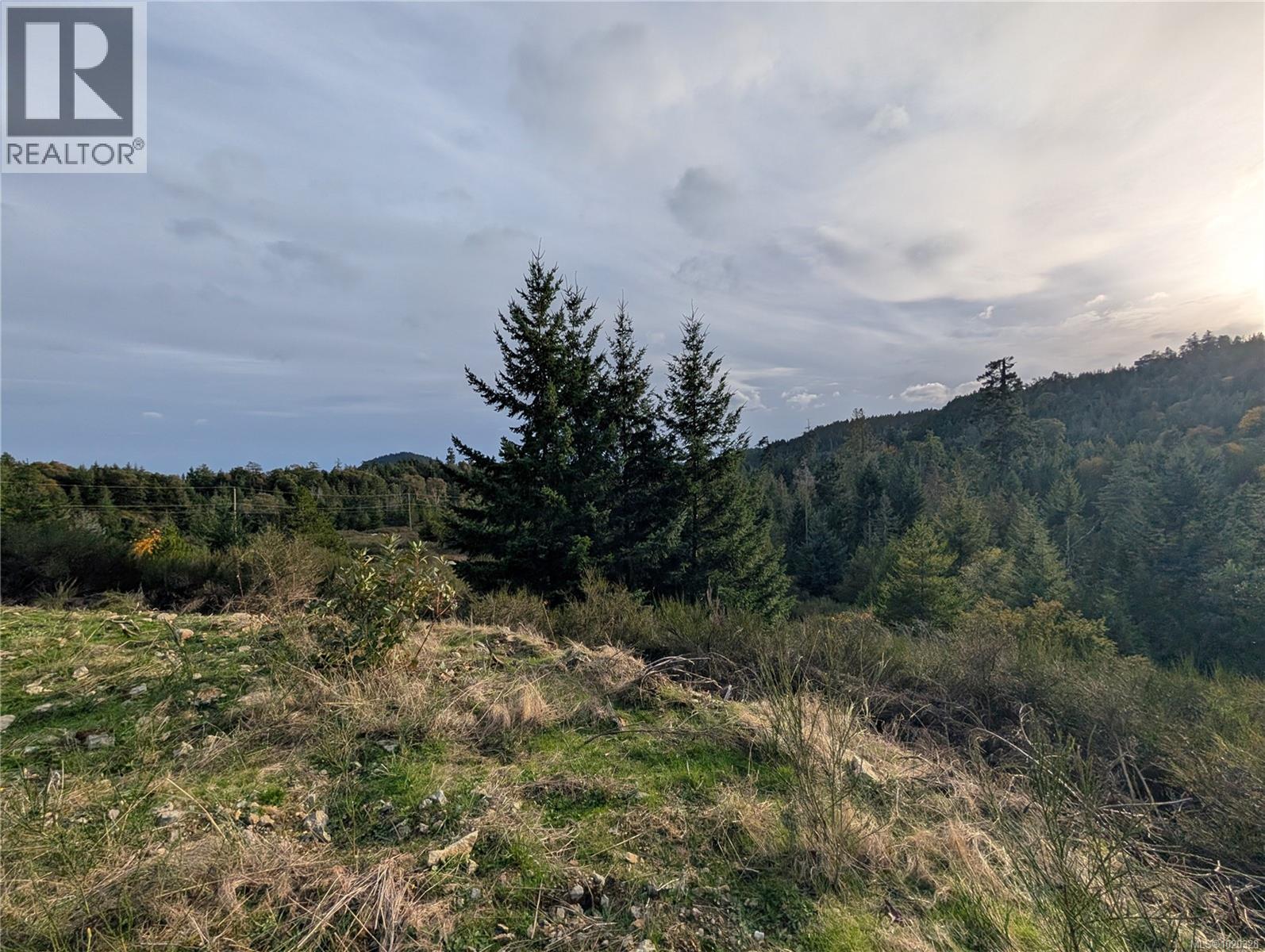 Lot 24 Eagle Dr, Shawnigan Lake, British Columbia  V8H 2J1 - Photo 7 - 1020328