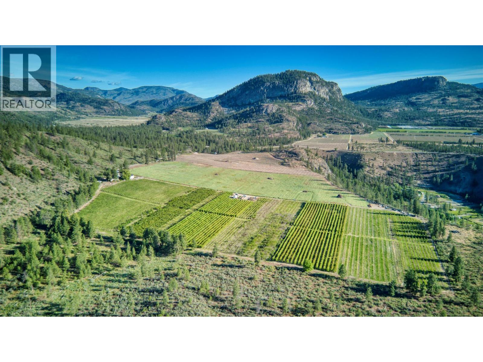 298 Test Orchard Road, Oliver, British Columbia  V0H 1T5 - Photo 1 - 10366648