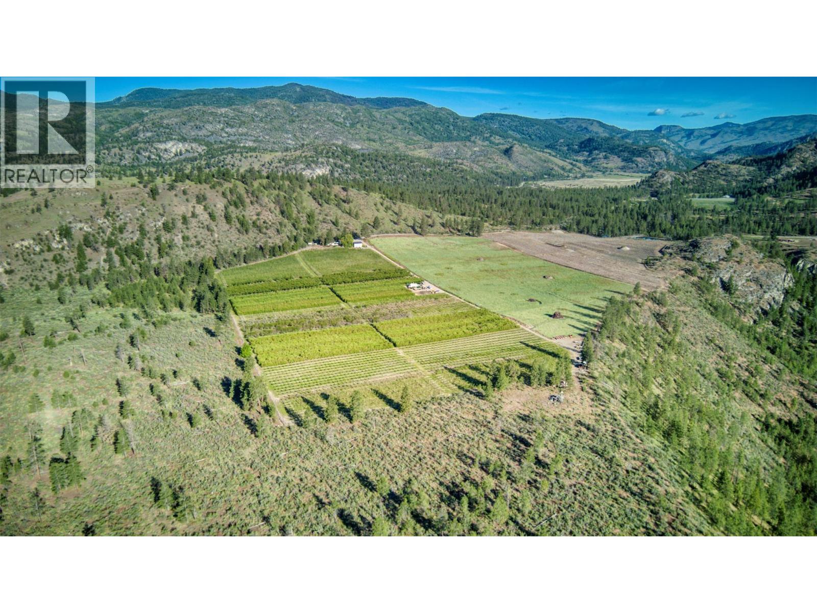 298 Test Orchard Road, Oliver, British Columbia  V0H 1T5 - Photo 9 - 10366648