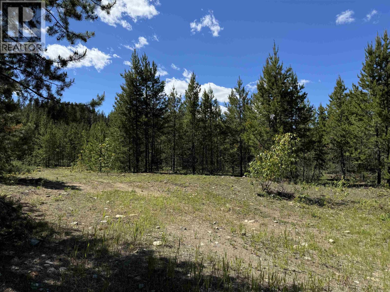 Valemount Vacant Land for sale:    (Listed 2025-11-10)