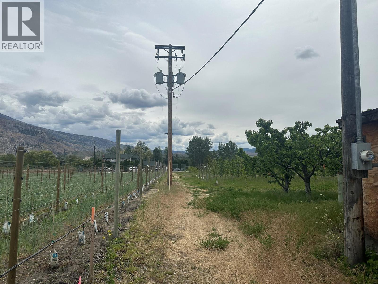 298 Test Orchard Road, Oliver, British Columbia  V0H 1T5 - Photo 20 - 10366648