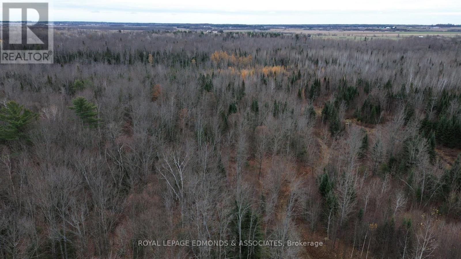 710 Westmeath Road, Whitewater Region, Ontario K8A 6W2 - Photo 6 - X12538522