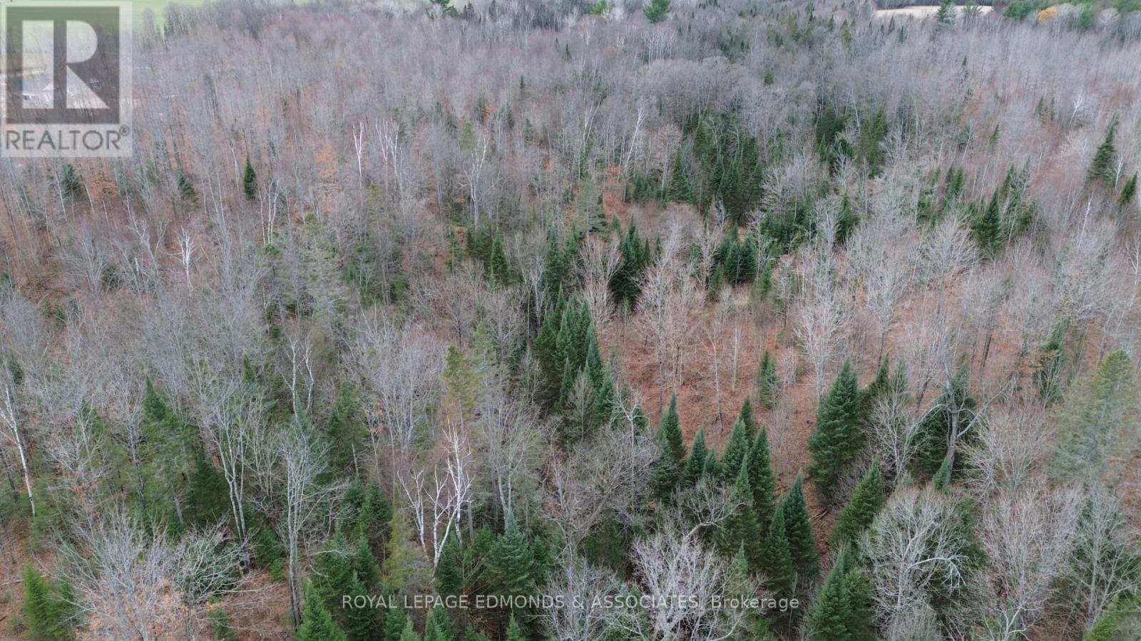 710 Westmeath Road, Whitewater Region, Ontario K8A 6W2 - Photo 8 - X12538522