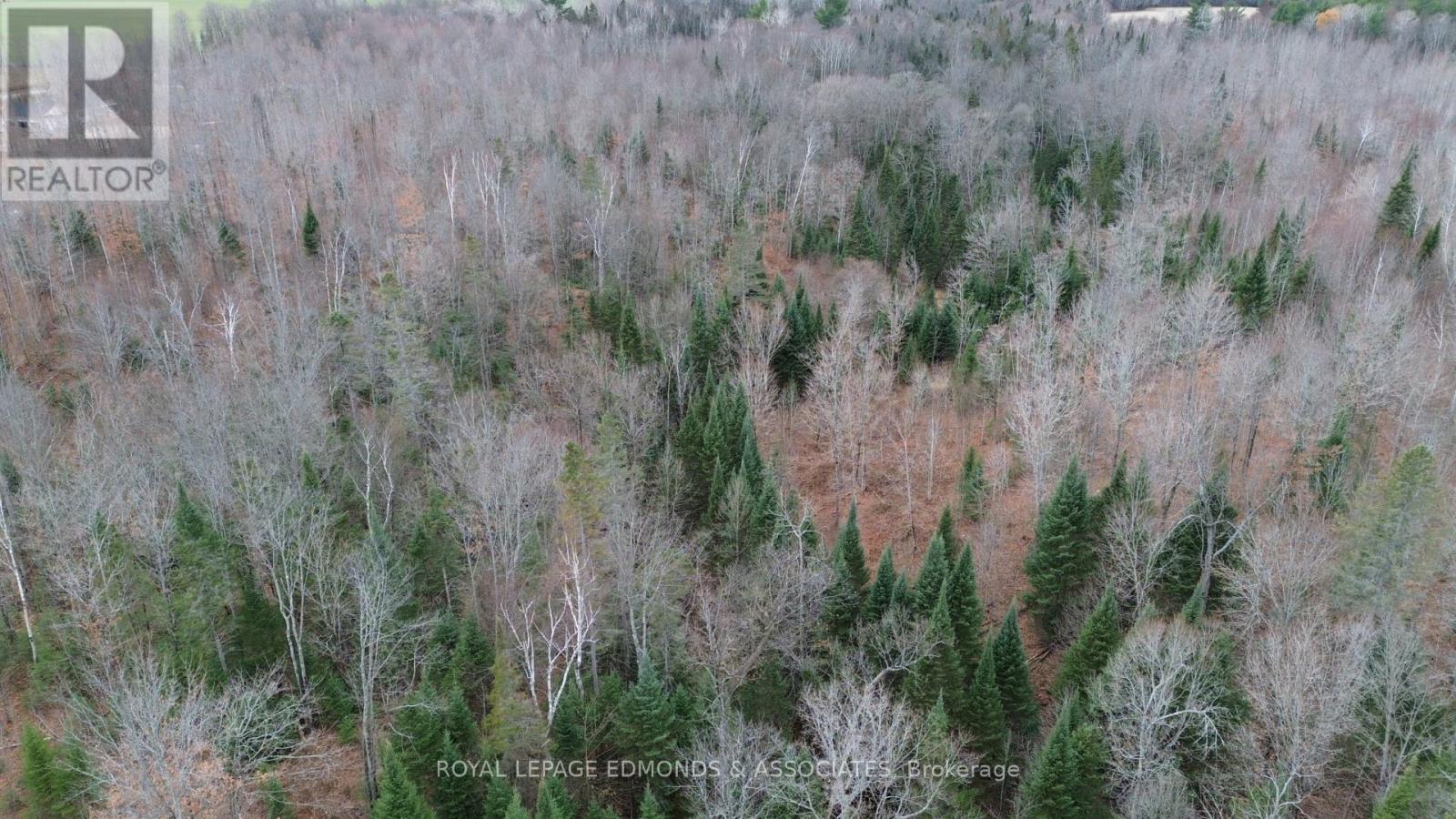 710 Westmeath Road, Whitewater Region, Ontario K8A 6W2 - Photo 9 - X12538522