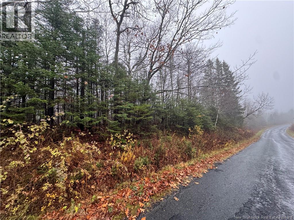 25-02 St. David Ridge Road, Oak Bay, New Brunswick  E3L 4R1 - Photo 3 - NB130061