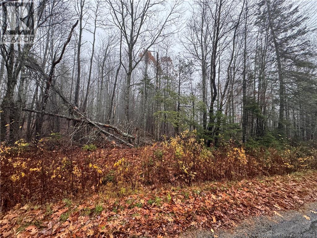 25-02 St. David Ridge Road, Oak Bay, New Brunswick  E3L 4R1 - Photo 5 - NB130061