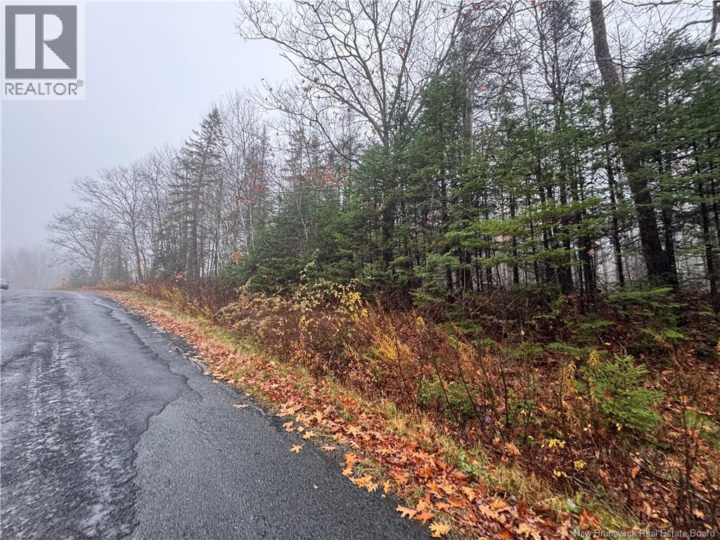 25-01 St. David Ridge Road, Oak Bay, New Brunswick  E3L 4R1 - Photo 2 - NB130055