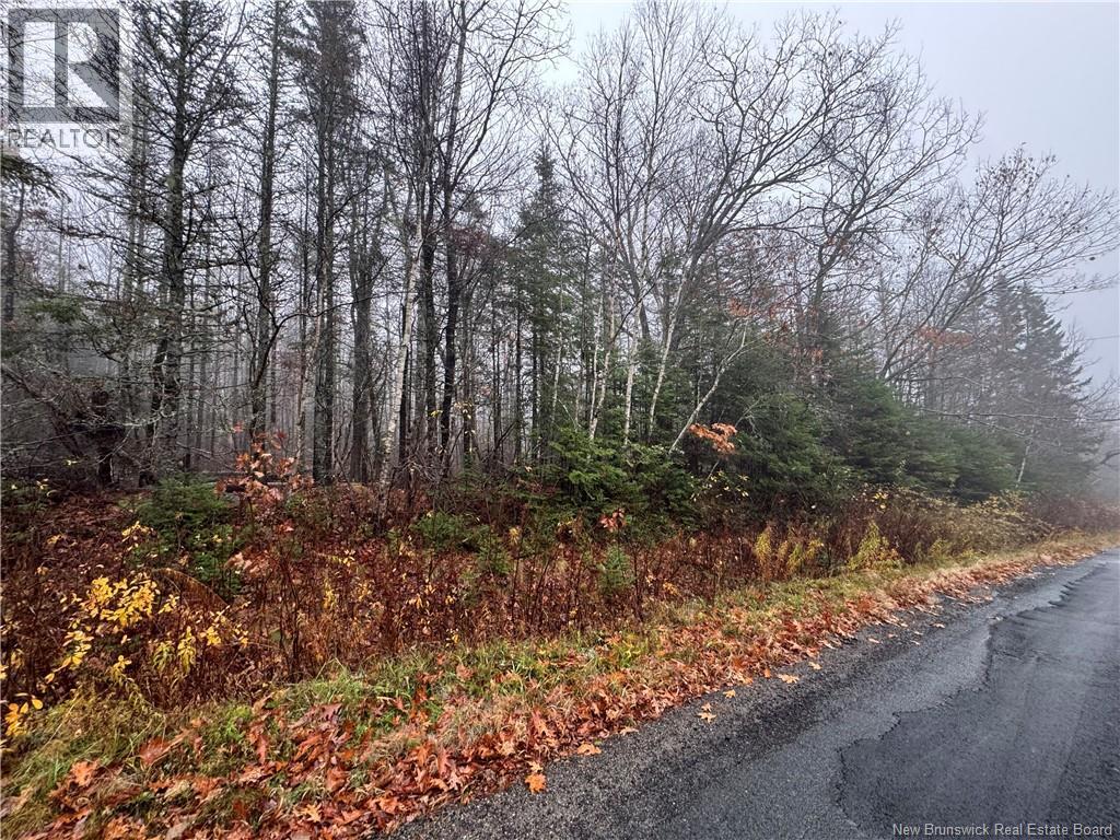 25-01 St. David Ridge Road, Oak Bay, New Brunswick  E3L 4R1 - Photo 4 - NB130055