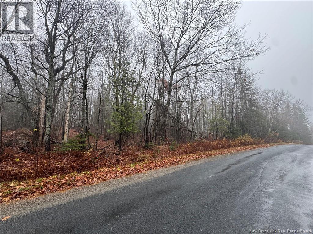 25-01 St. David Ridge Road, Oak Bay, New Brunswick  E3L 4R1 - Photo 8 - NB130055