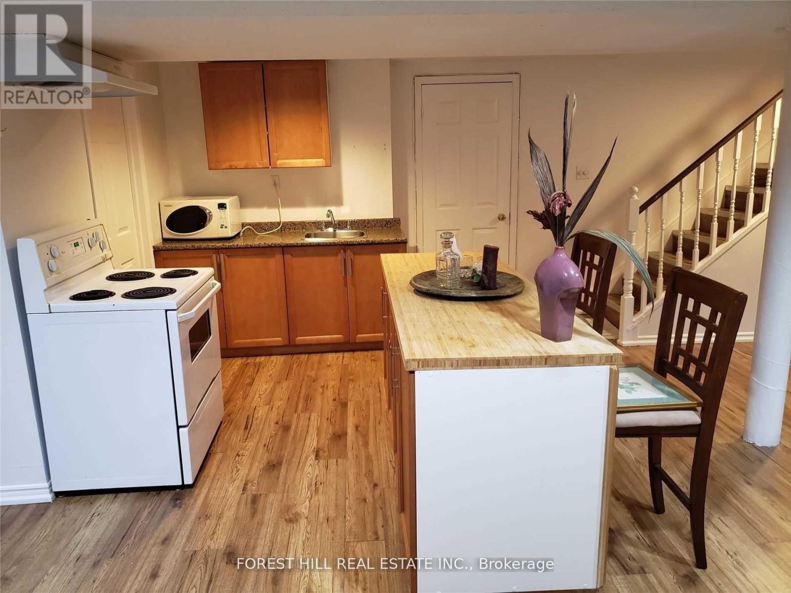 Lower - 27 Hiram Road, Richmond Hill, Ontario  L4C 9E6 - Photo 4 - N12538344